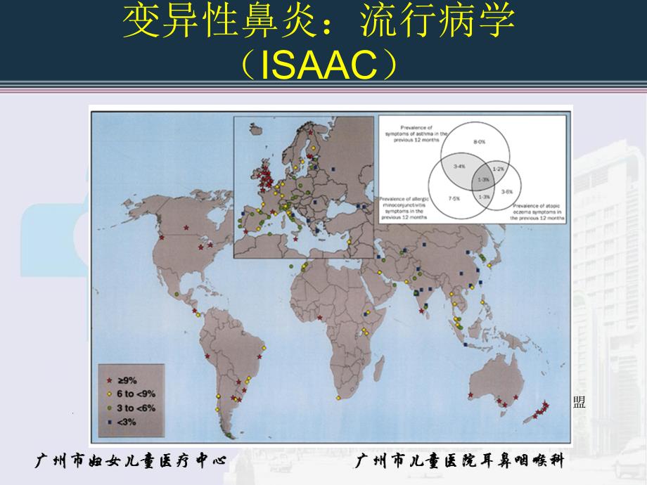 变应性鼻炎的诊断与治疗1PPT_第3页