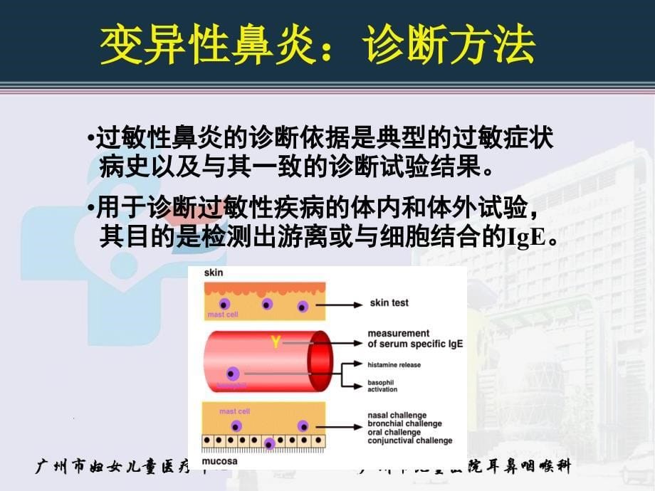 变应性鼻炎的诊断与治疗1PPT_第5页