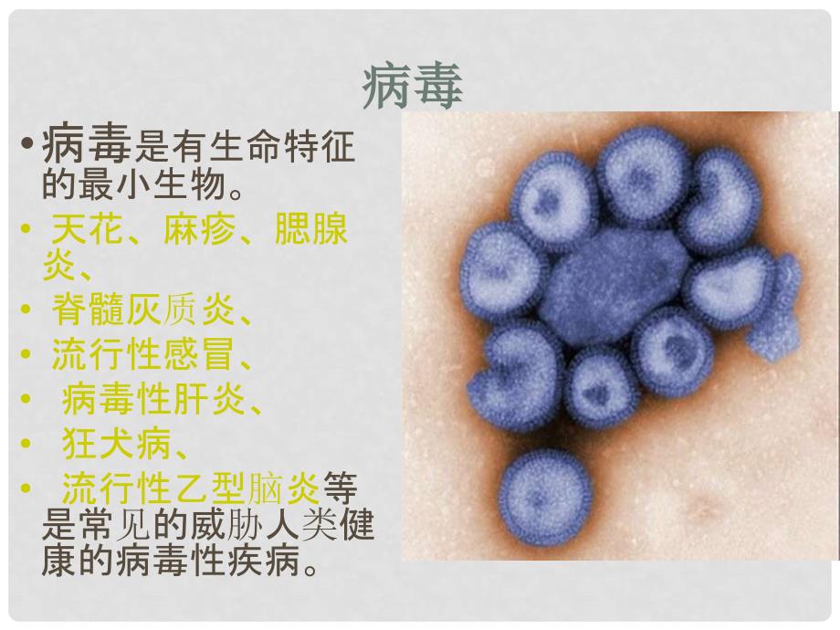 五年级科学上册 第1课 病毒课件2 青岛版_第4页