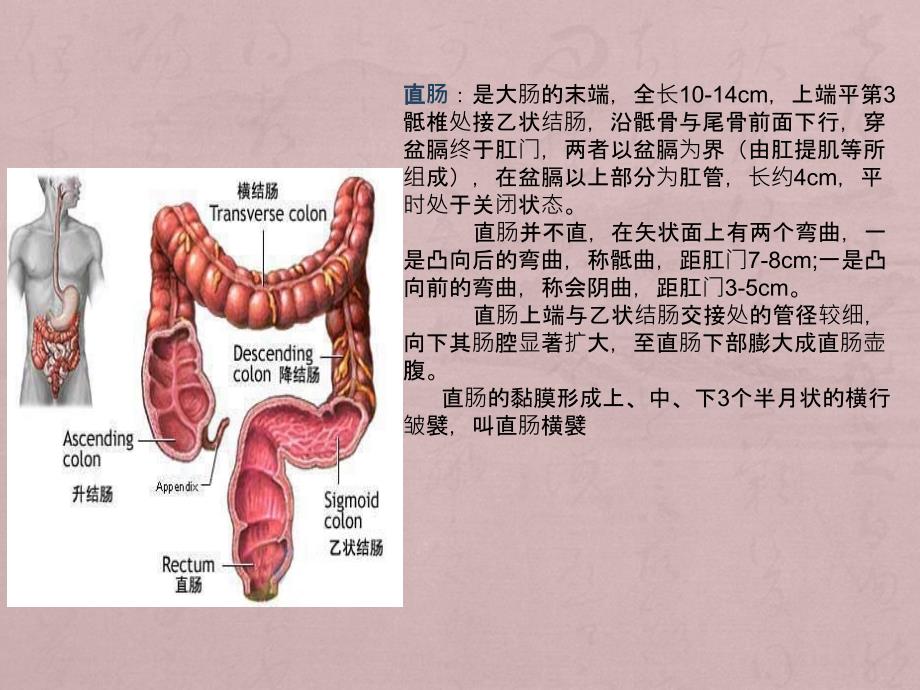 直肠癌手术配合_第4页