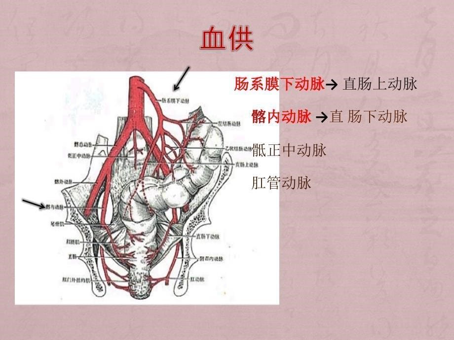 直肠癌手术配合_第5页