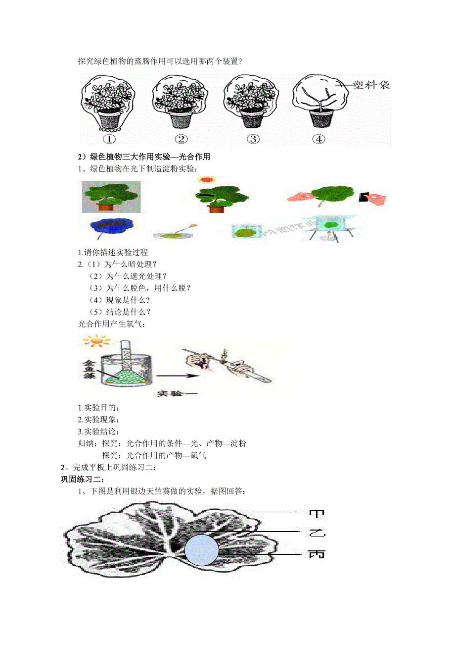 济南版初中教材七年级上册第二单元第一章生物圈中的绿色植物绿色植物的三大作用复习教案_第4页