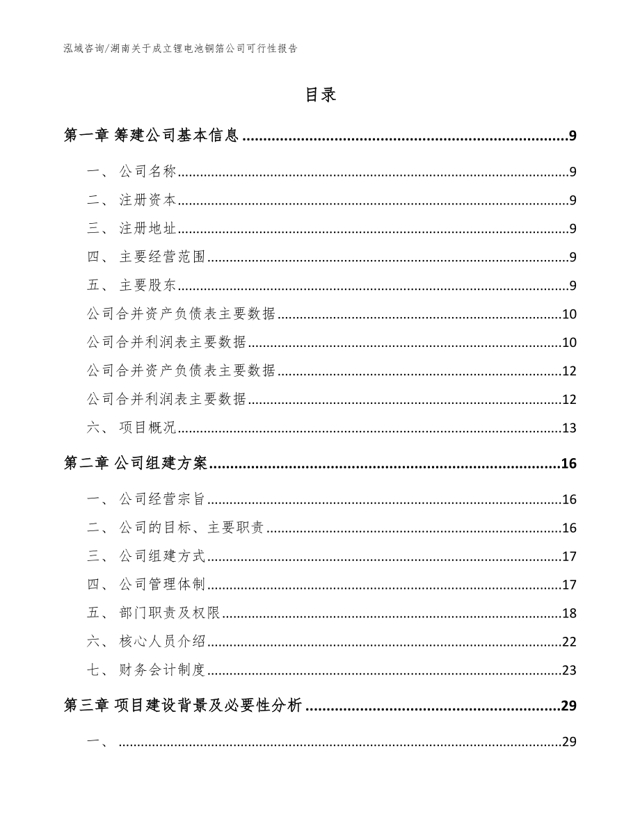 湖南关于成立锂电池铜箔公司可行性报告模板范本_第2页
