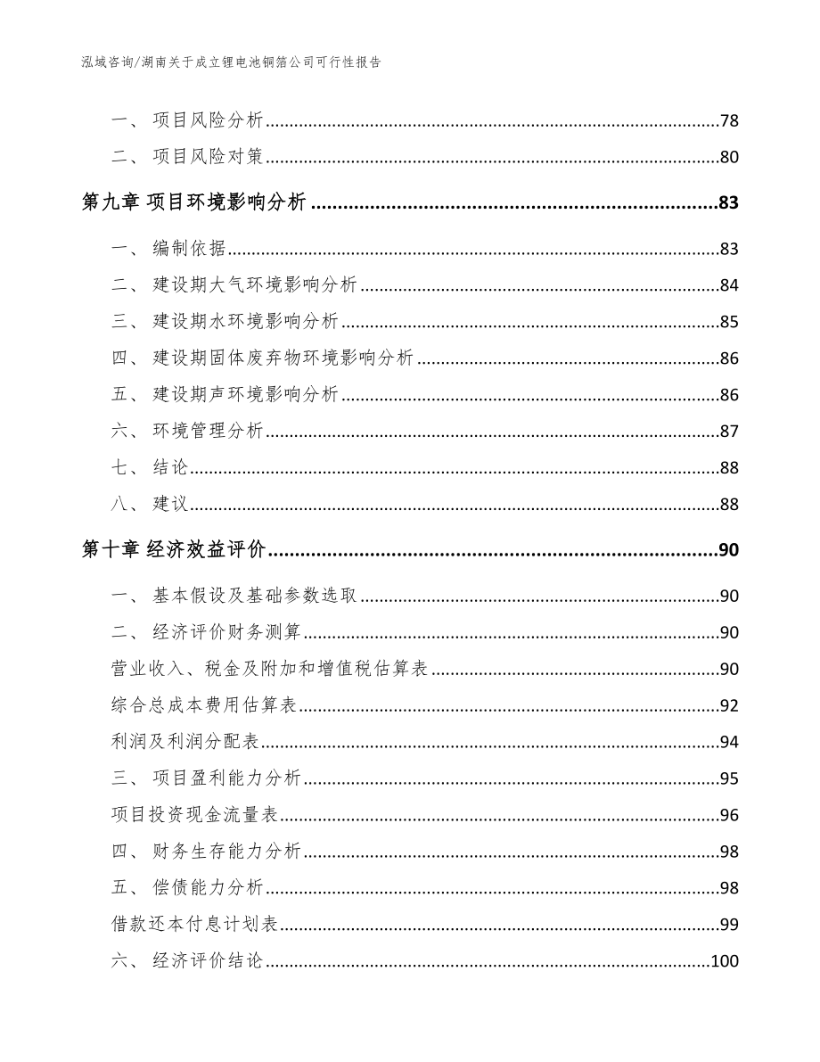 湖南关于成立锂电池铜箔公司可行性报告模板范本_第4页