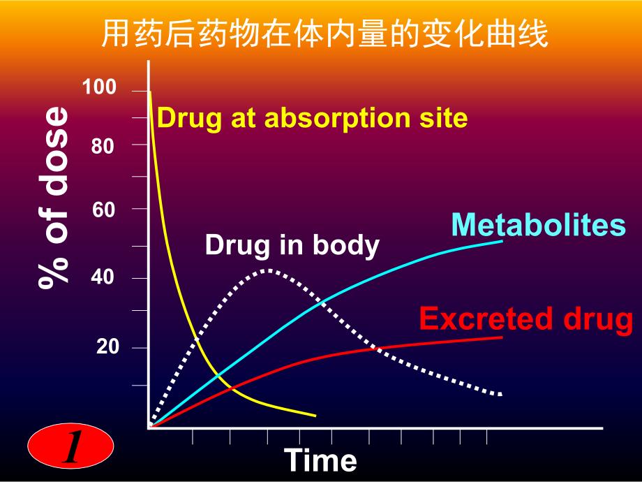 第三章中药药动学PPT课件_第3页