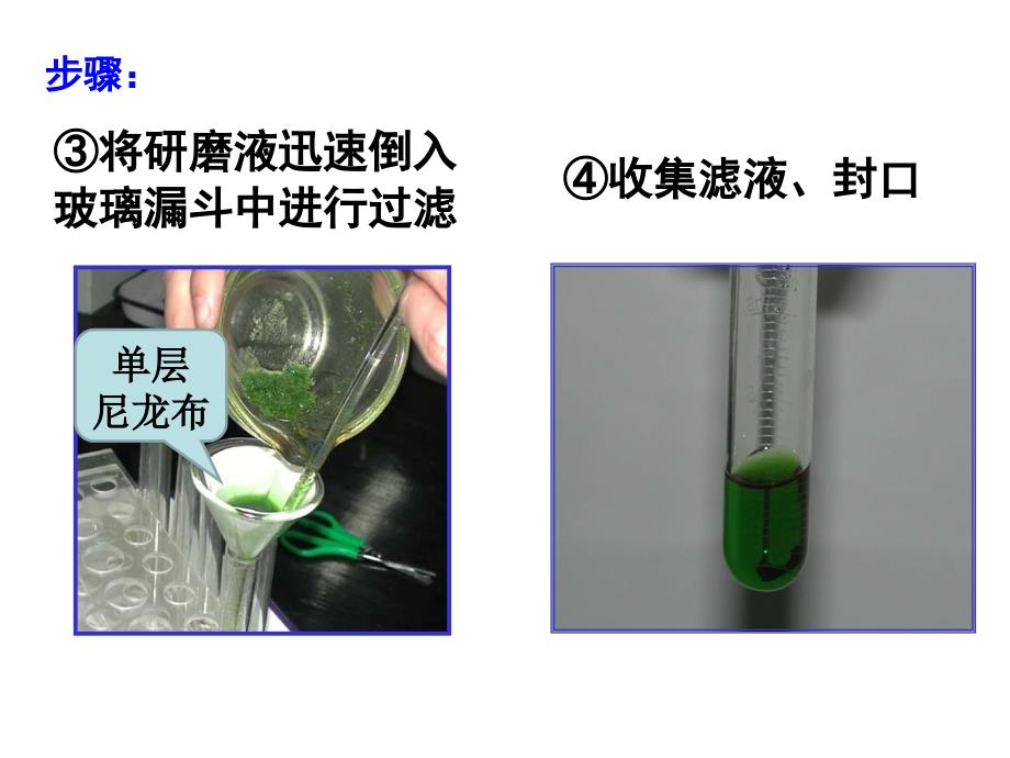 人教版生物新教材《光合作用的原理和应用》ppt精美版课件_第4页