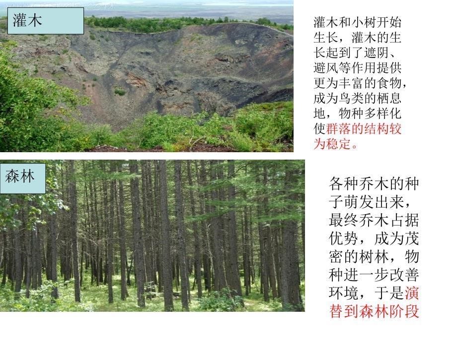 高中三年级生物必修3第一课时课件_第5页