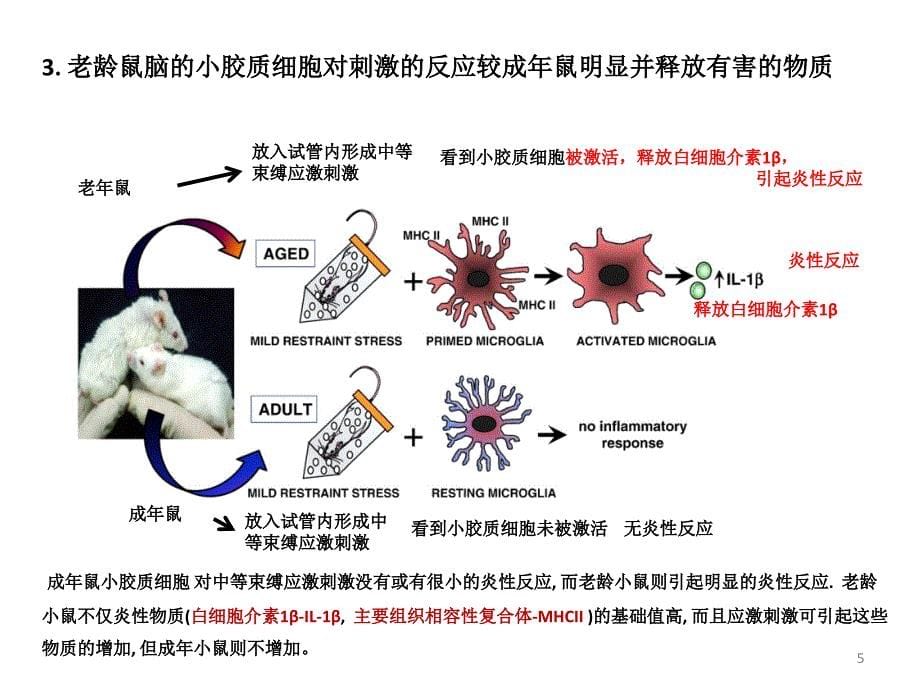 谈谈老年人的脑保健课件_第5页