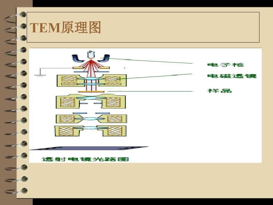 透射电镜结构和部件功能_第5页