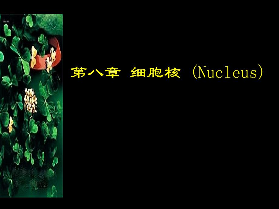 医学细胞生物学：第八章 细胞核 (Nucleus)_第1页