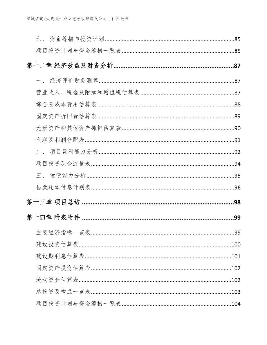 大连关于成立电子级硅烷气公司可行性报告_参考范文_第5页