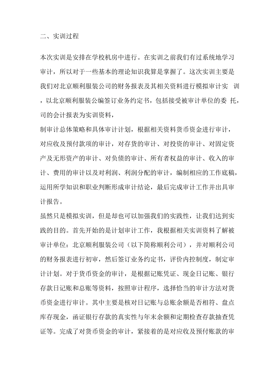 审计模拟实训报告_第2页