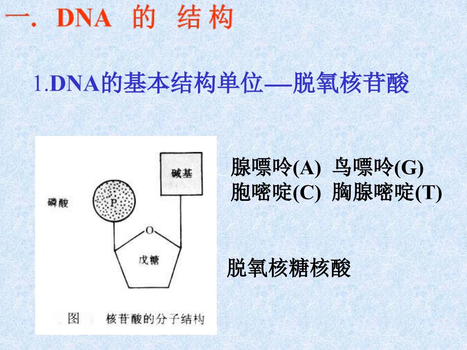 《细胞的化学组成》PPT课件_第4页