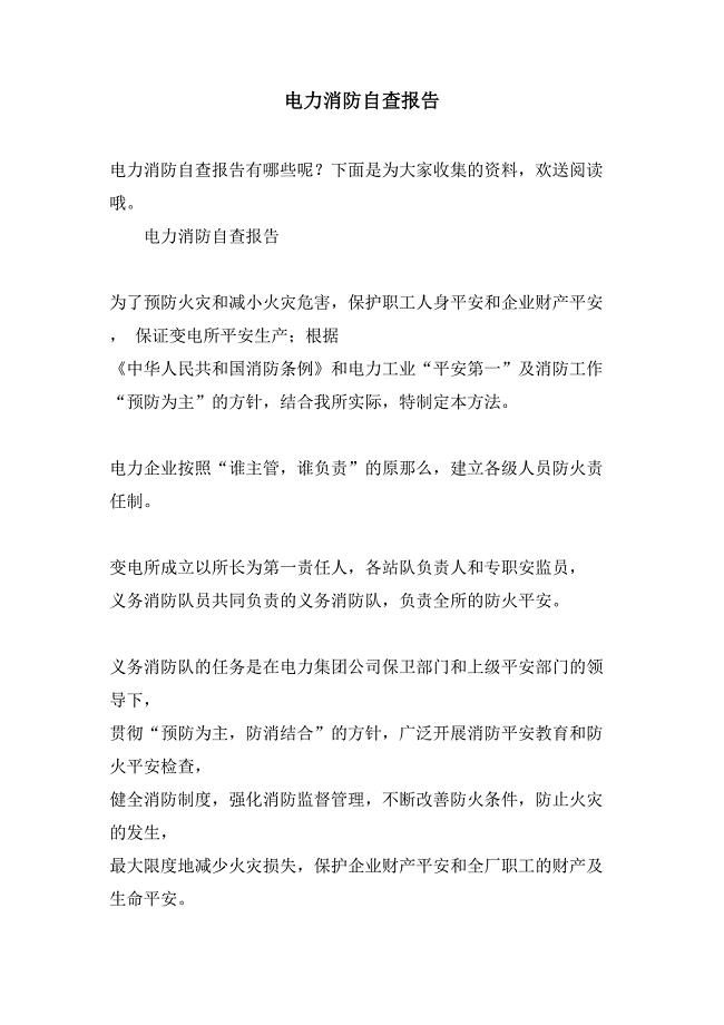 电力消防自查报告