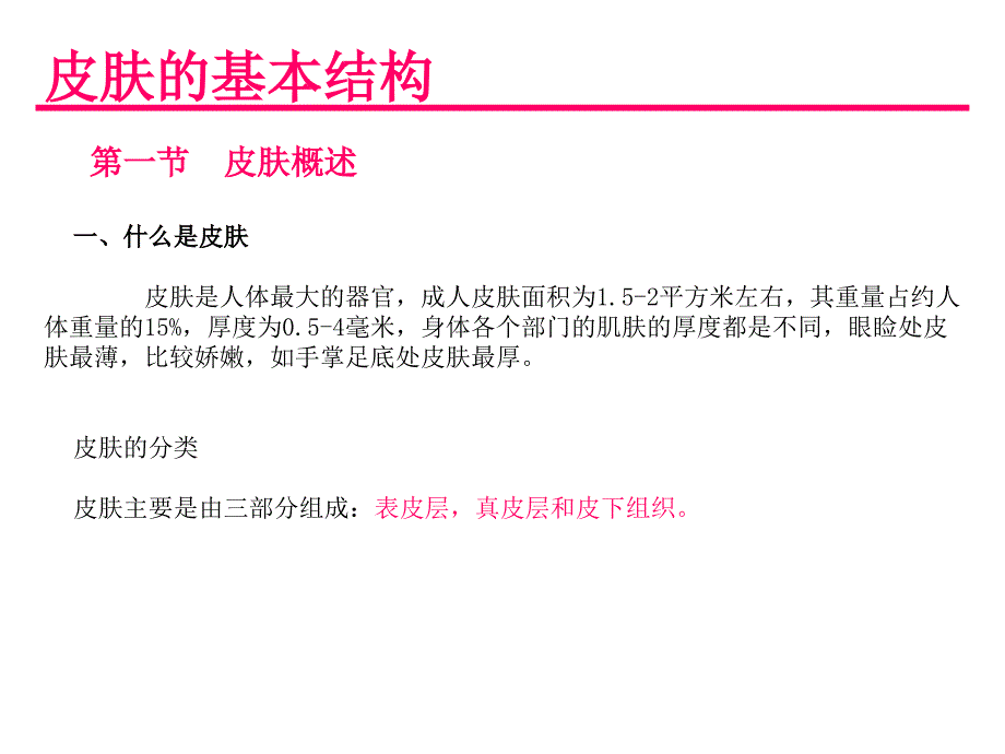 《皮肤基础知识》PPT课件.ppt_第3页