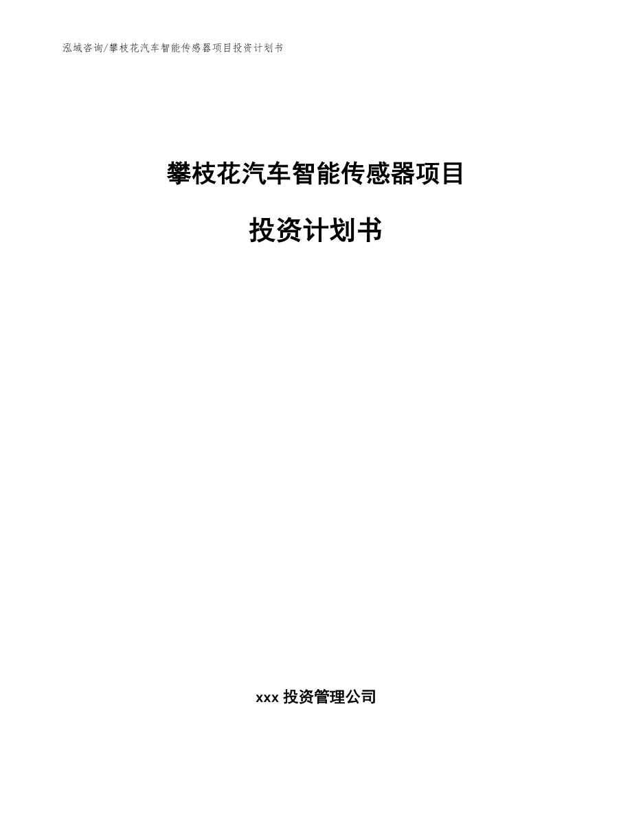 攀枝花汽车智能传感器项目投资计划书模板范本_第1页