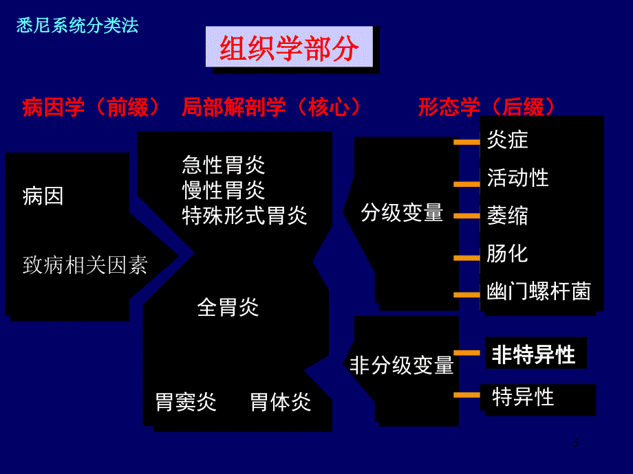 慢性胃炎PPT课件_第5页