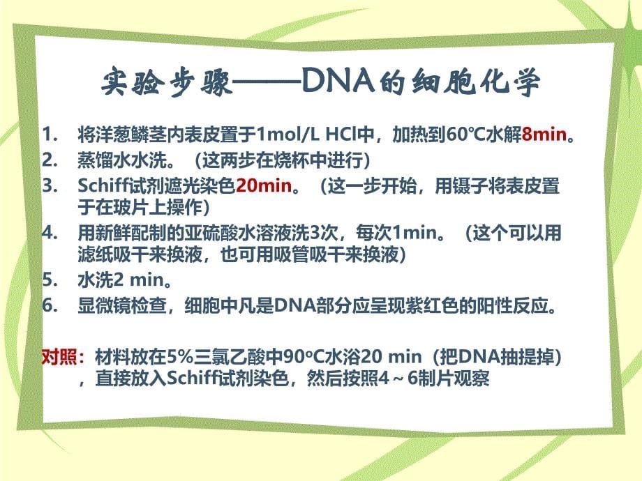 细胞生物学实验：5 DNA的化学_第5页