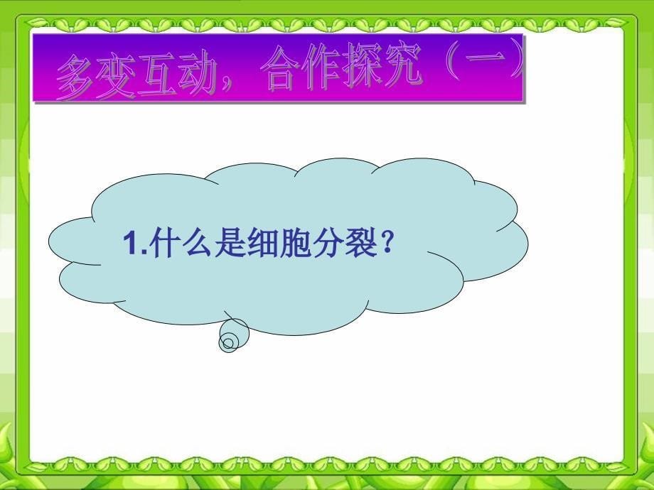 细胞通过分裂产生新细胞课件_第5页