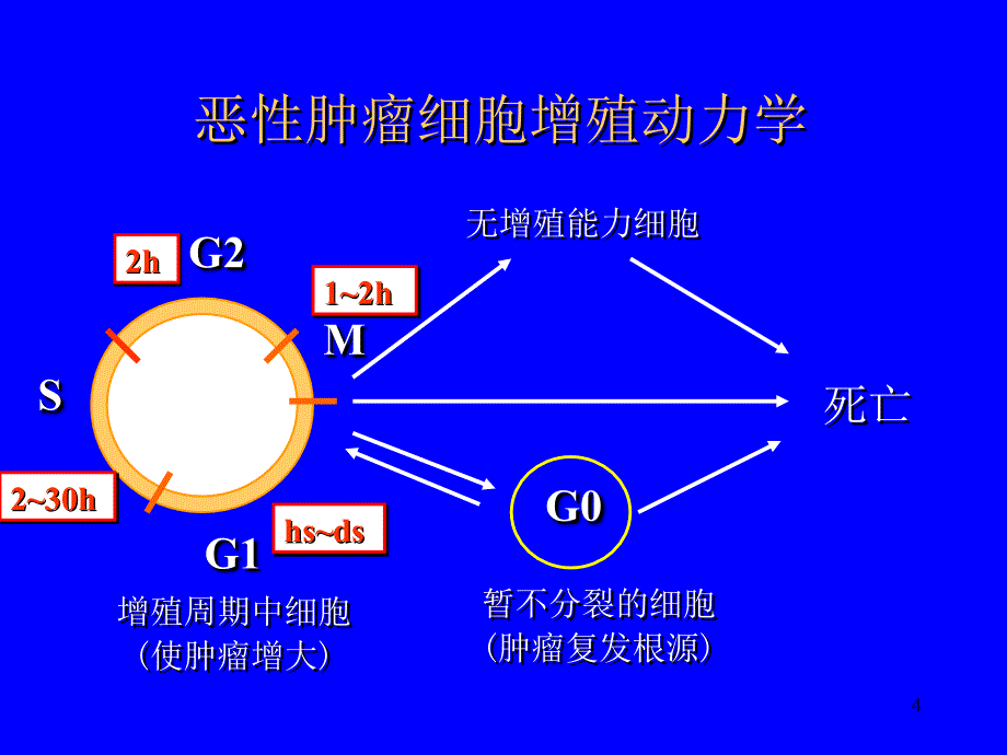 常见消化道肿瘤_第4页