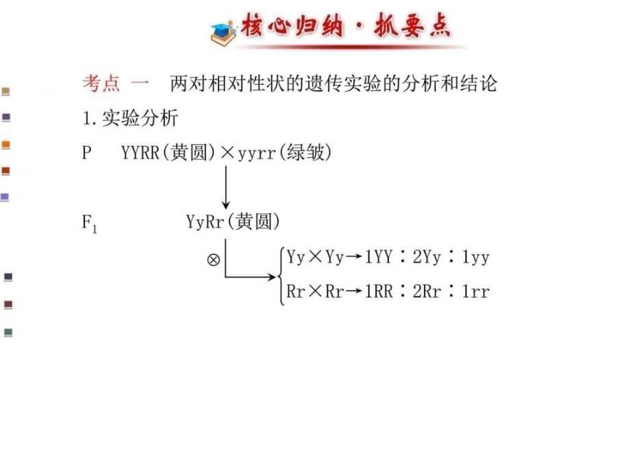 浙江专用金榜生物教师用书配套课件必修2第一1474852995_第5页