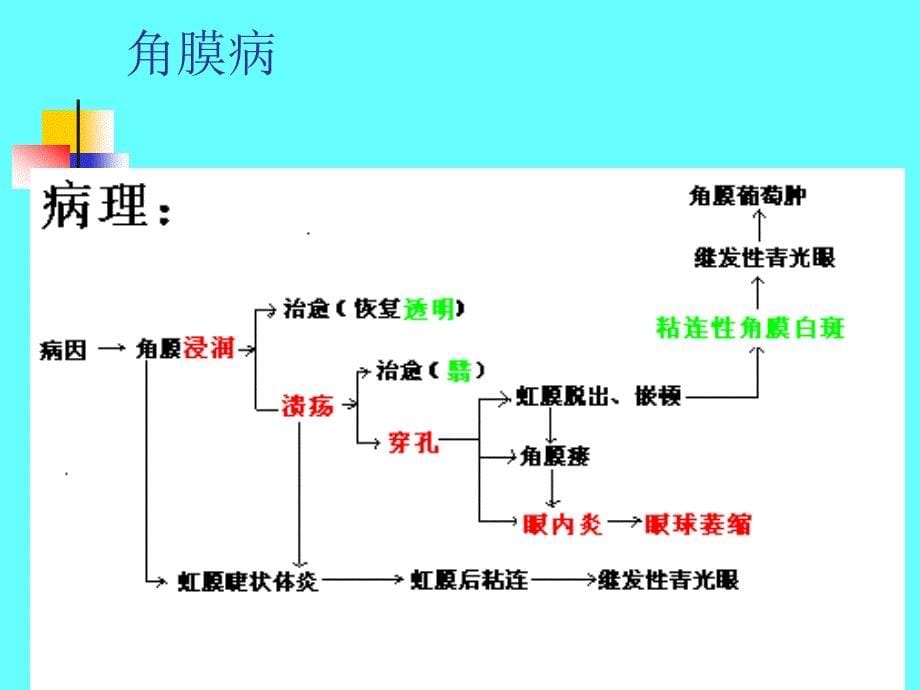 第五章角膜病与巩膜病_第5页