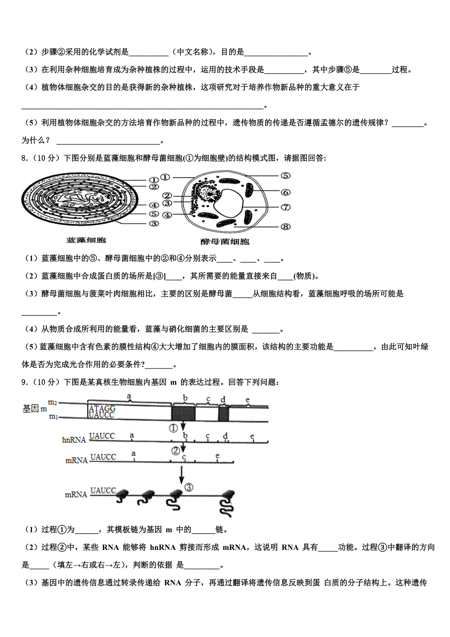 广东二师学院番禺附学2023学年高二生物第二学期期末学业质量监测模拟试题（含解析）.doc_第3页