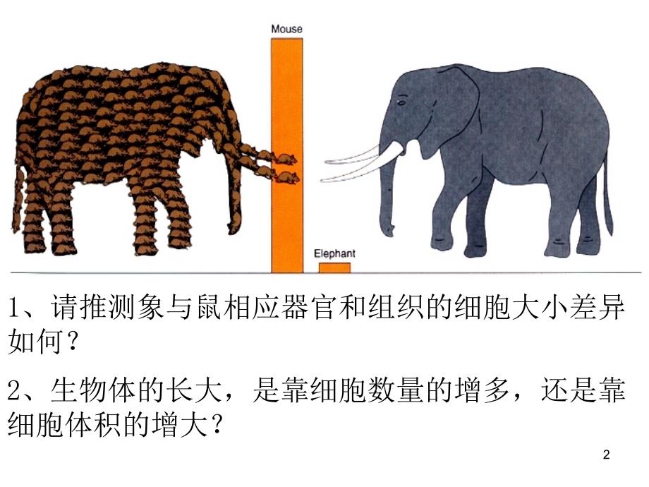 人教版教学课件第六章细胞的生命历程课件_第2页