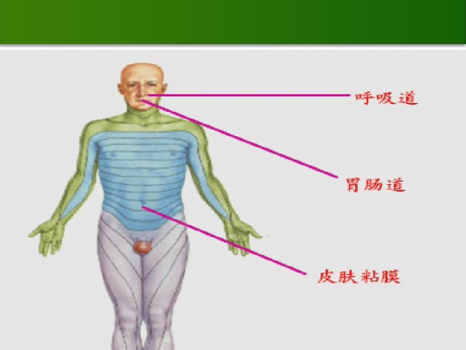 化工企业常见中毒以及意外伤害现场救护PPT课件_第4页