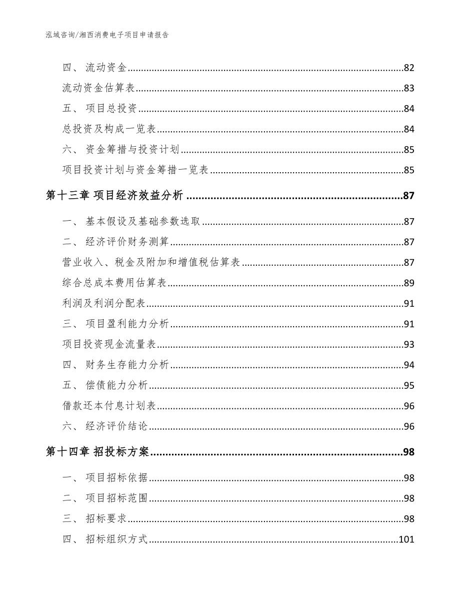 湘西消费电子项目申请报告_参考模板_第4页