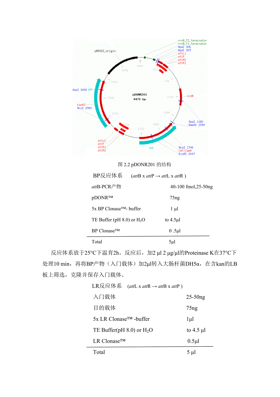 Gateway反应体系.doc_第2页