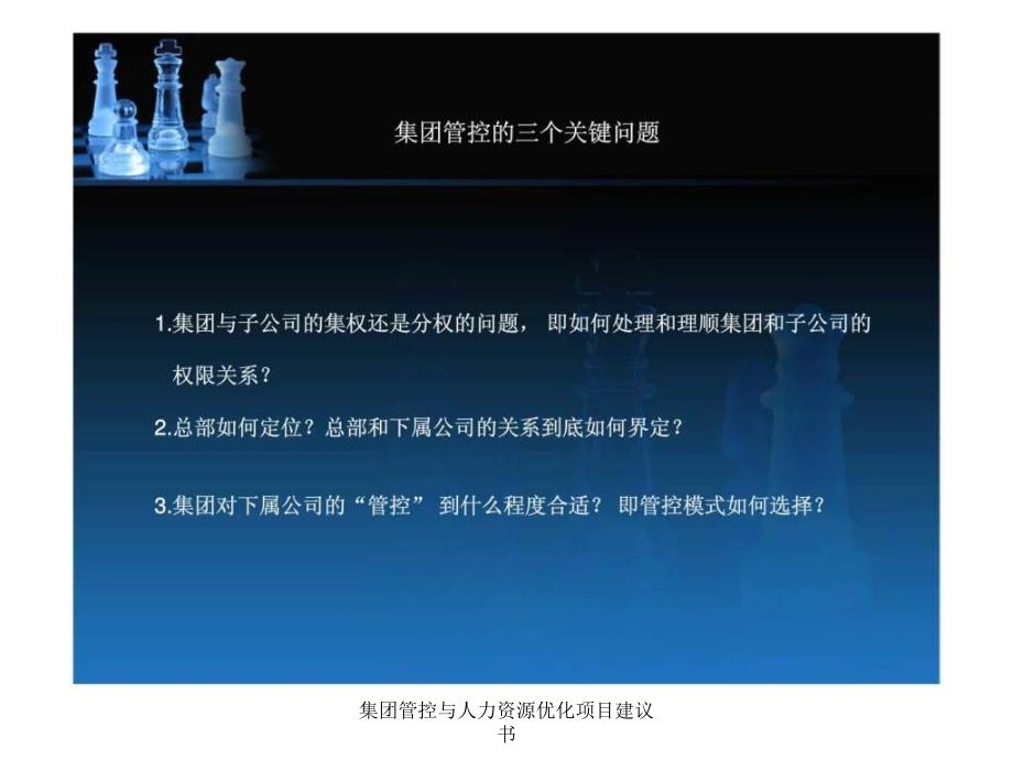 集团管控与人力资源优化项目建议书课件_第4页