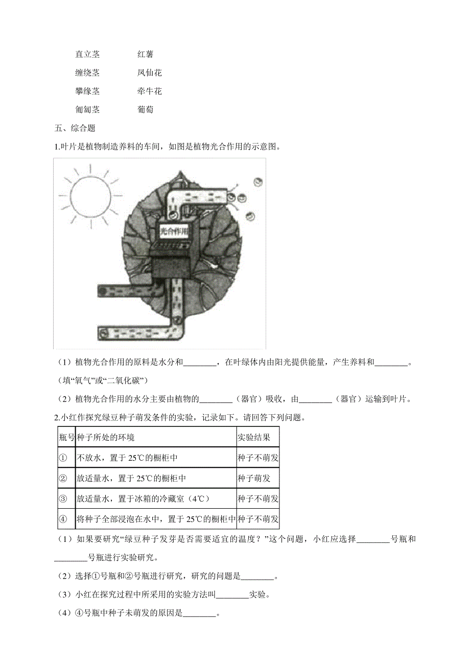 教科版四年级科学下册1.4《茎和叶》作业设计_第2页