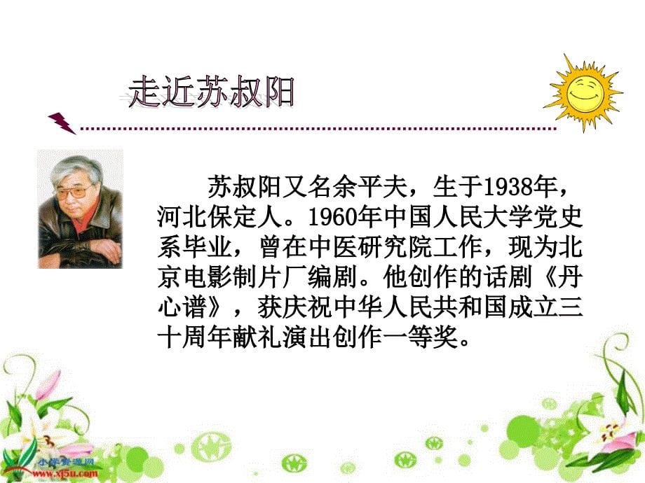 《理想的风筝》ppt_第5页