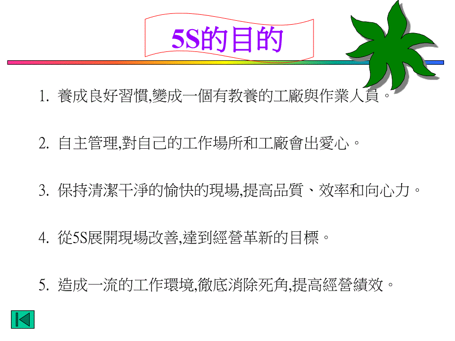 5S目的与目标_第3页