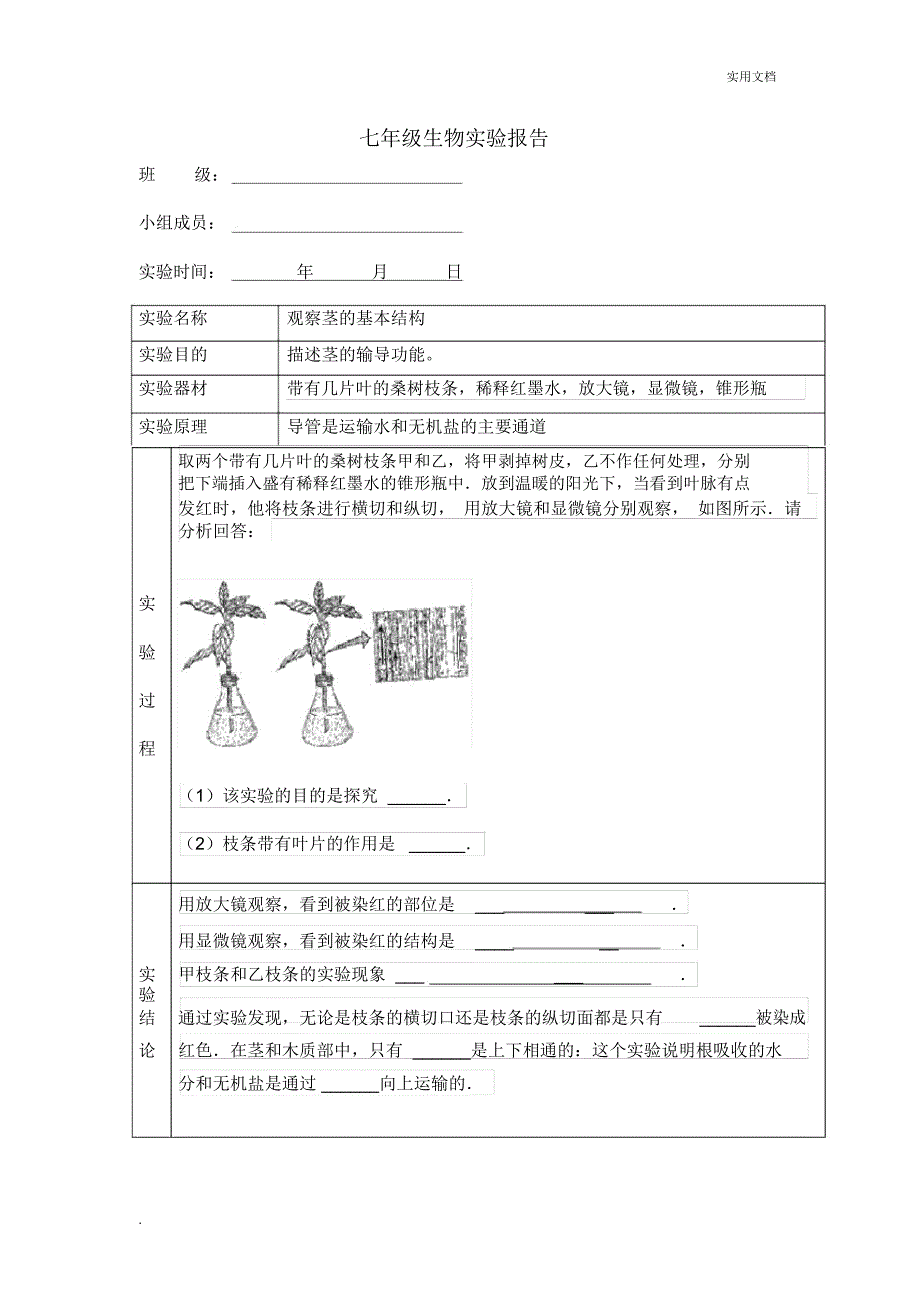 观察茎的结构实验报告_第1页