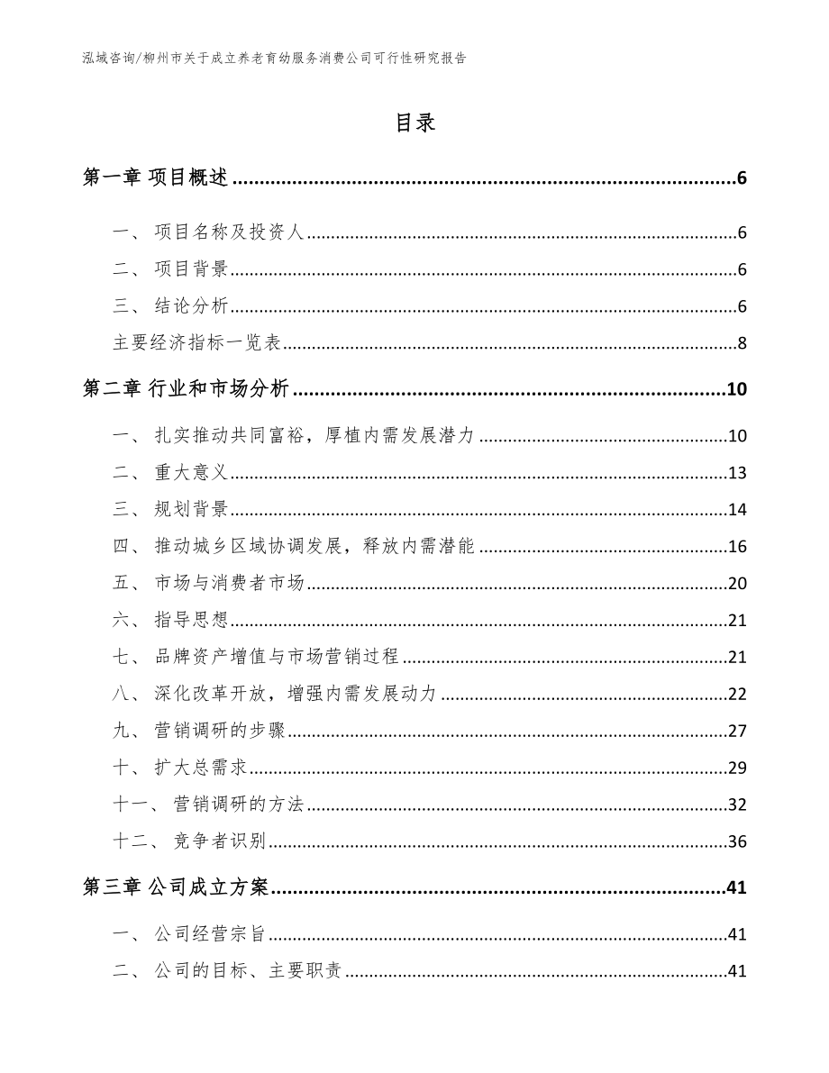 柳州市关于成立养老育幼服务消费公司可行性研究报告_范文_第1页