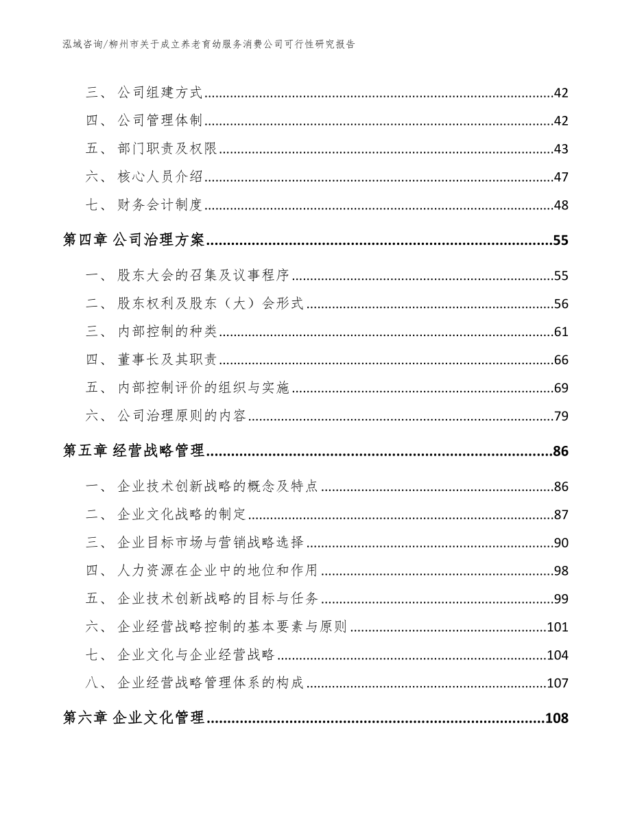 柳州市关于成立养老育幼服务消费公司可行性研究报告_范文_第2页