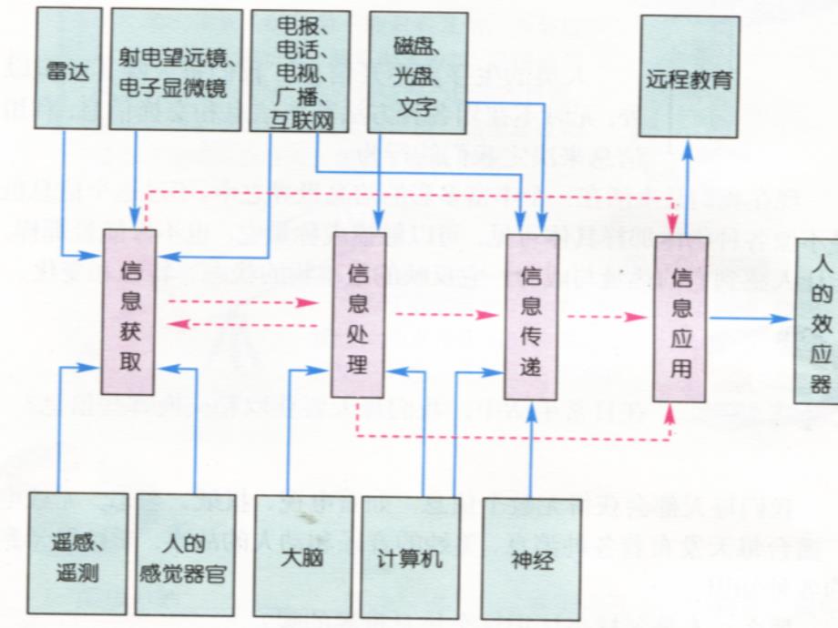 第131383号第七节信息的获取和利用_第4页