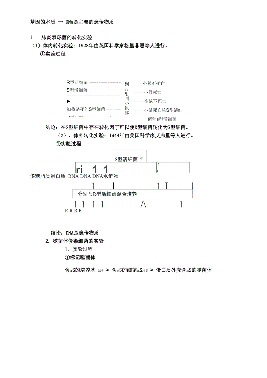 基因的本质_第1页