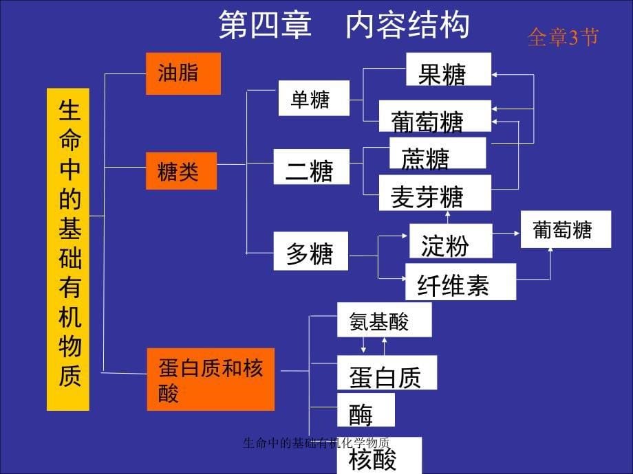 生命中的基础有机化学物质课件_第5页