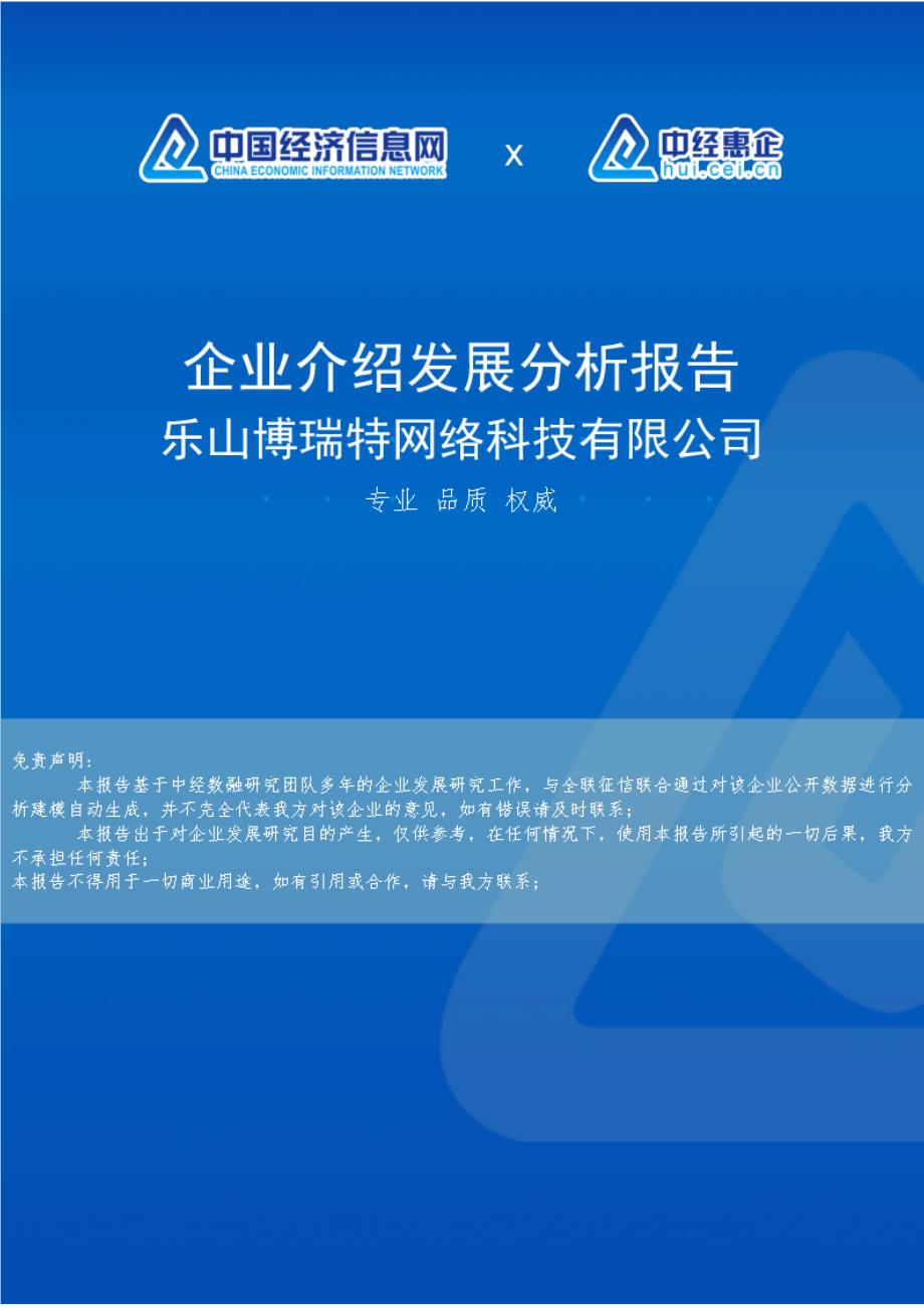 乐山博瑞特网络科技有限公司介绍企业发展分析报告_第1页