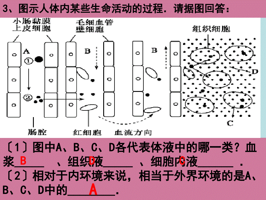 必修三第一章第二节内环境稳态的重要性ppt课件_第3页