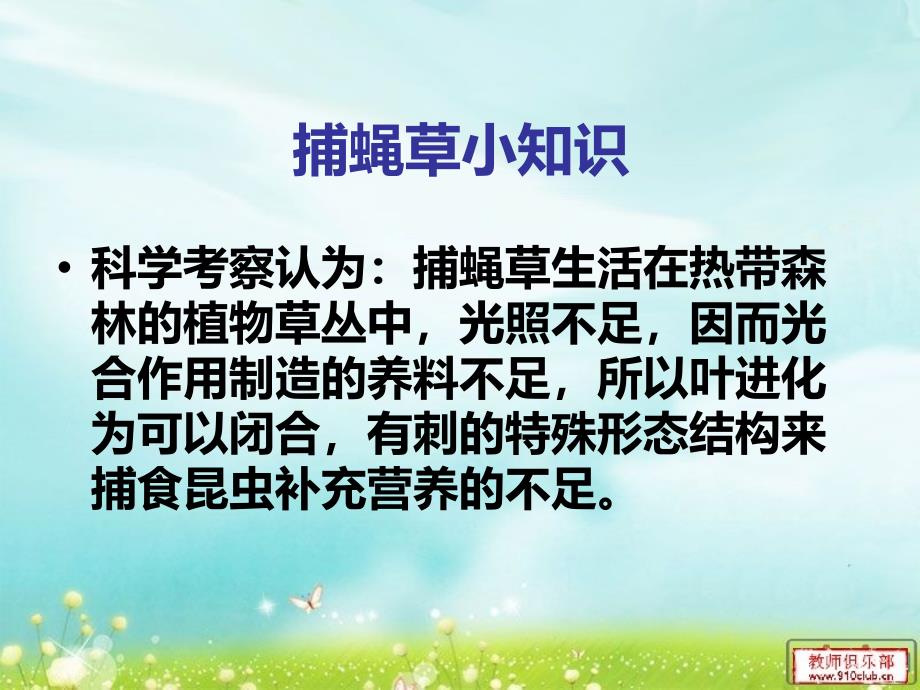 教科版小学六年级科学上册《原来是相互关联的》教学课件_第3页