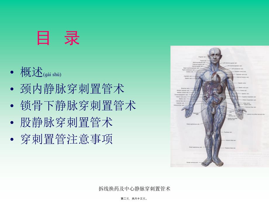 拆线换药及中心静脉穿刺置管术课件_第2页