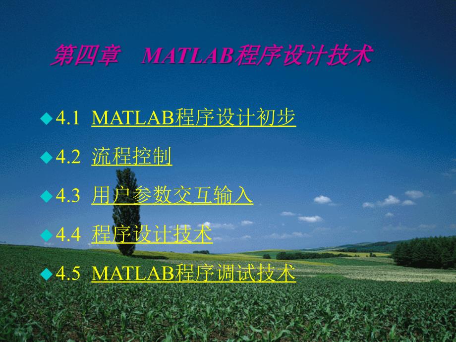 matlab讲稿第四讲_第2页