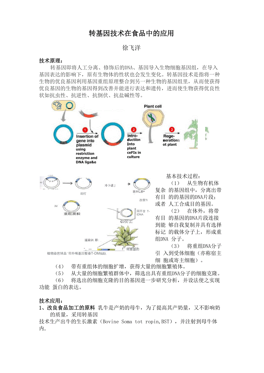 转基因技术在食品中的应用_第1页