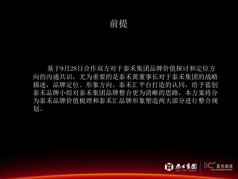 泰禾房地产项目品牌价值探讨和定位整合规划沟通提案_24页_第2页