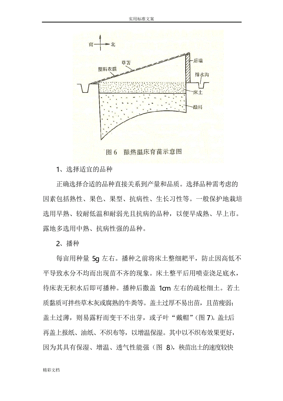 樱桃番茄基本栽培技术_第4页