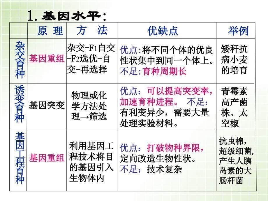 人教版教学课件生物育种专题第二轮复习_第5页